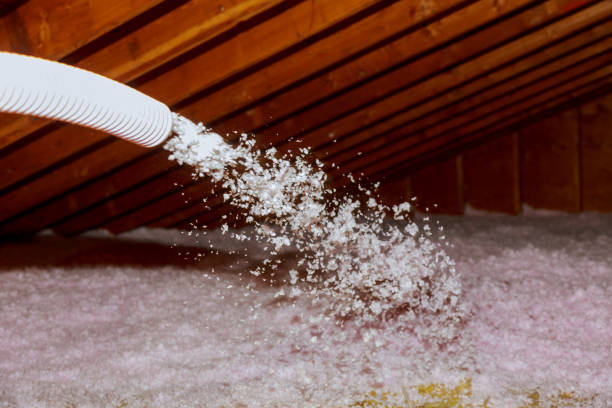 Professional Insulation Contractor in Steele Creek, AK