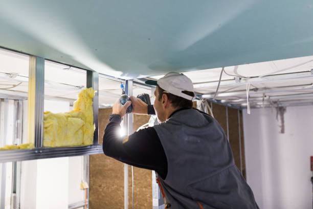 Best Insulation for Specific Applications in Steele Creek, AK