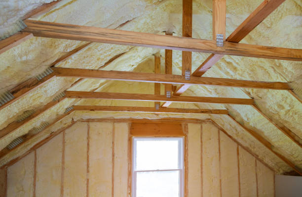 Best Blown-in Insulation in Steele Creek, AK